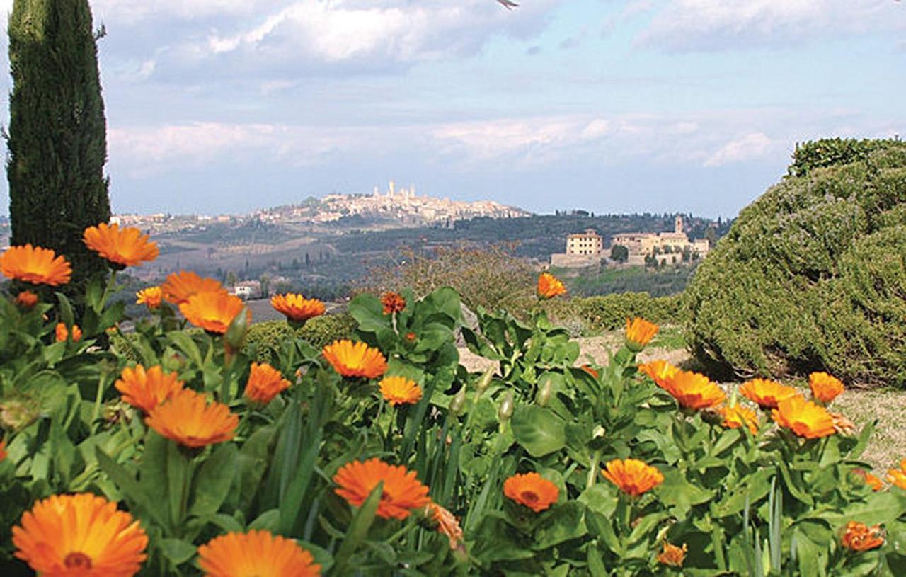Agriturismo Fattoria Il Piano - Appartamento Antica Cucina - 산지미냐노 외부 사진